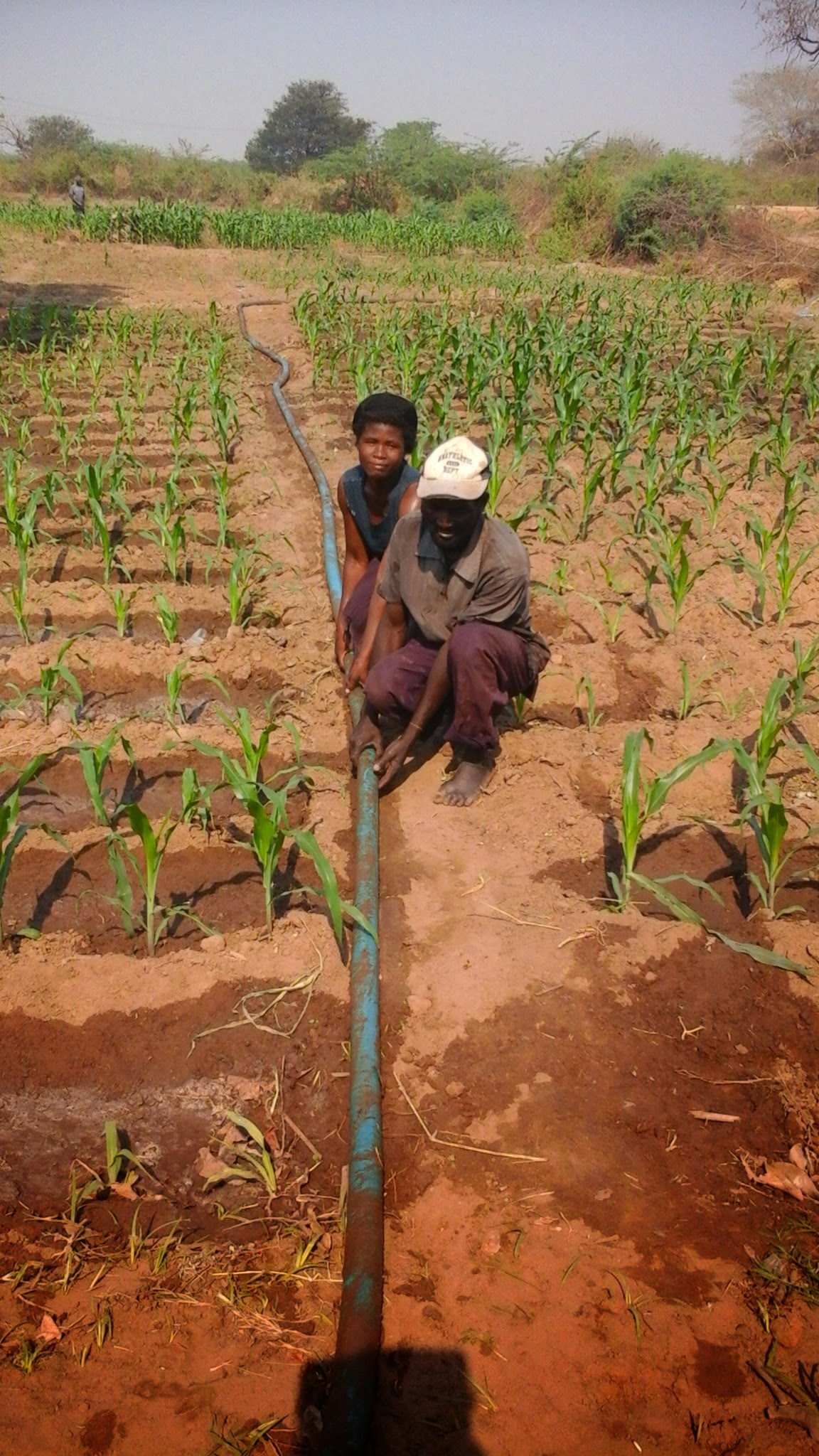 ENHANCING AGRICULTURAL RESILIENCE AND LIVELIHOODS: THE IMPACT OF UNDP-FUNDED PROJECT ALONG NKOMBEZI RIVER