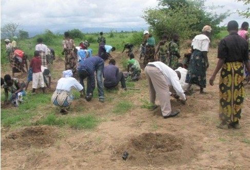 ENHANCING AGRICULTURAL RESILIENCE AND LIVELIHOODS: THE IMPACT OF UNDP-FUNDED PROJECT ALONG NKOMBEZI RIVER