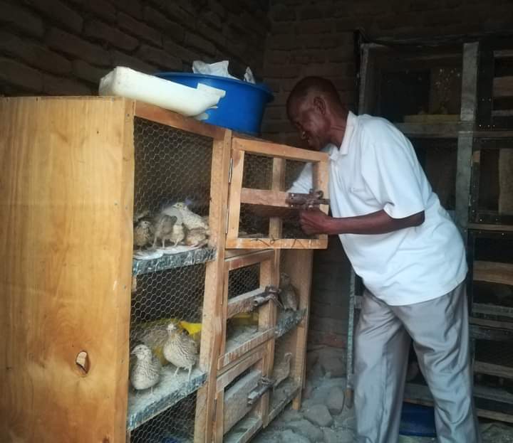 https://facemalawi.org/FACE Malawi:  Mid-Year Progress Report  from January to June 2025: